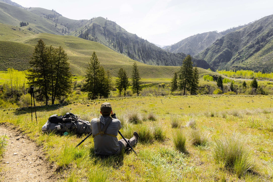 Don't Be Lazy Glassing - Instead use these 7 Spring Bear Glassing Strategies