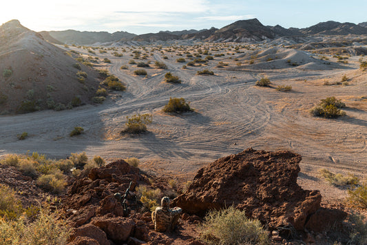 Yuma Dogs: The Arizona Coyote Hunting Mixtape That Hit 58K Views on Pure Energy