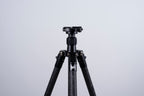 Tricer-AC Arca Clamp